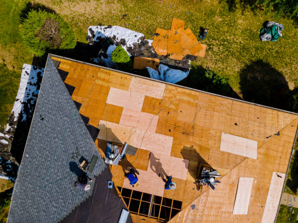 Professional Roofing Contractor in Egypt Lake Leto, FL